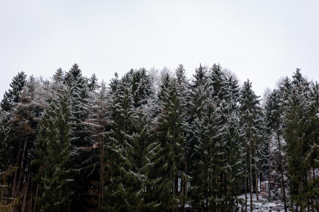 Hotel Tiefenhagen Sauerland Lennestadt Luaran gambar