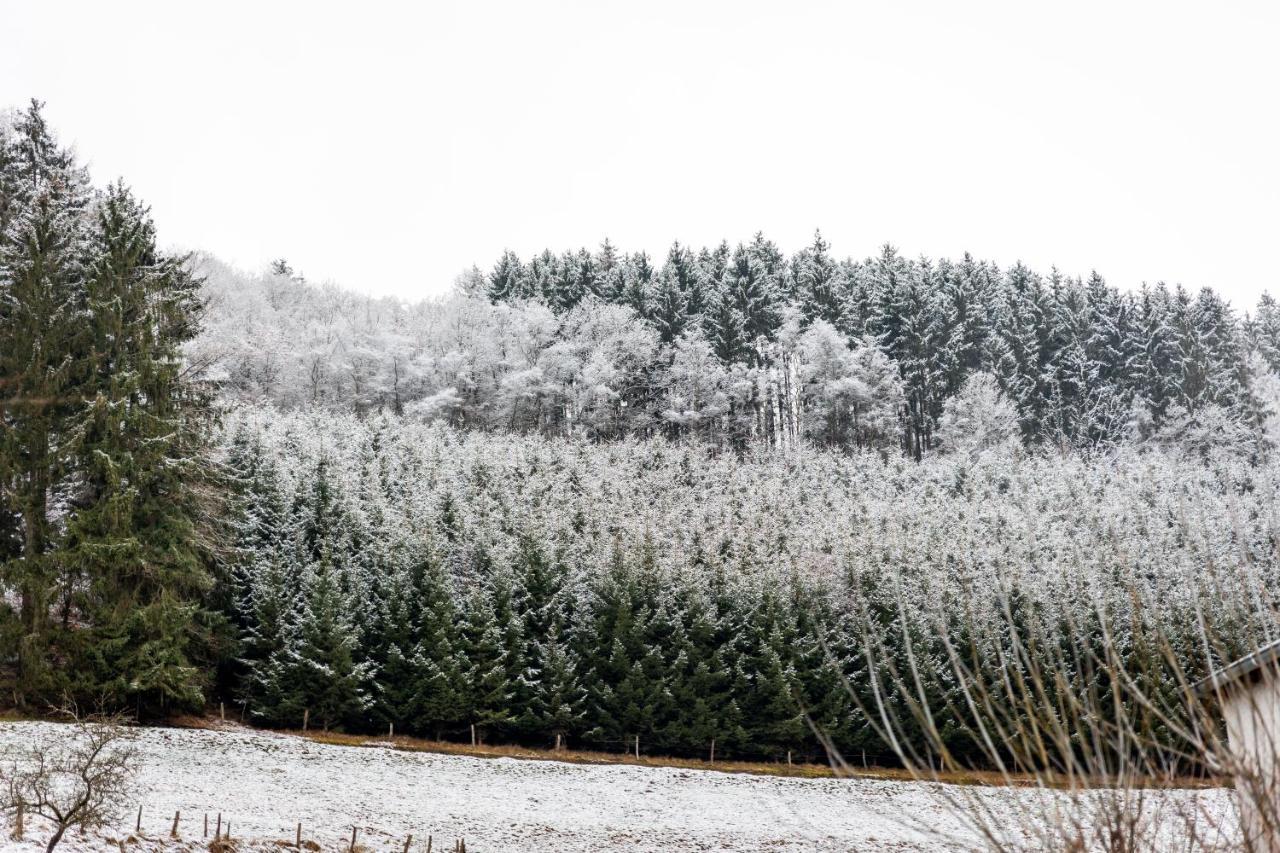 Hotel Tiefenhagen Sauerland Lennestadt Luaran gambar
